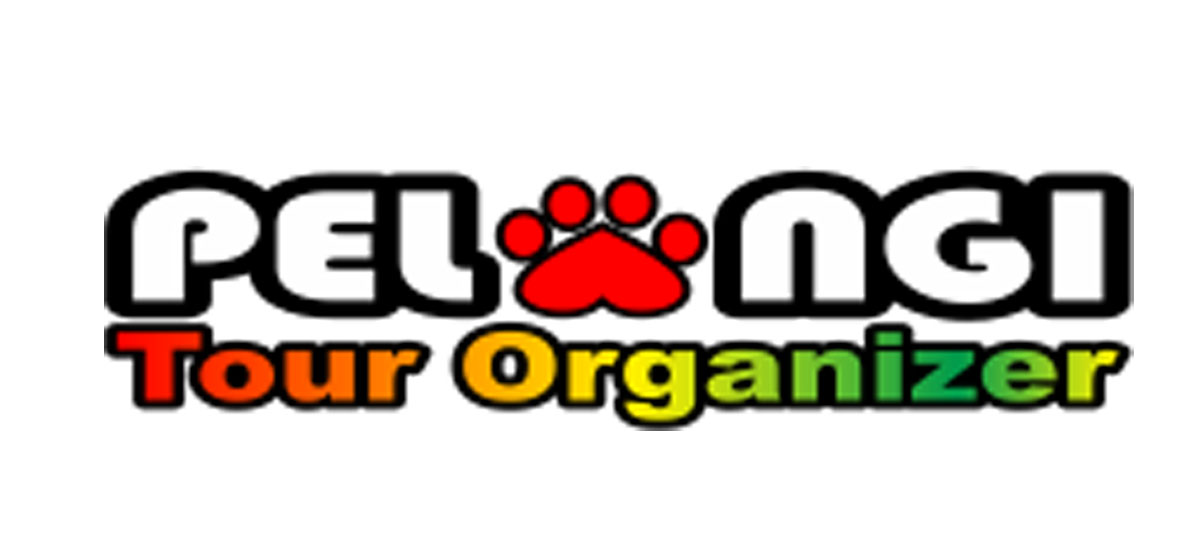 Sponsor 3